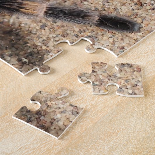 Tarantula Spider Puzzle (Seite)