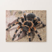 Tarantula Spider Puzzle (Horizontal)