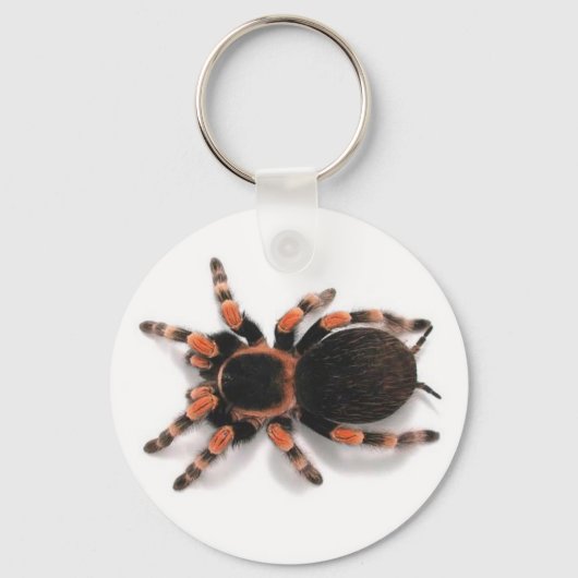 TARANTULA SPIDER SCHLÜSSELANHÄNGER KEYRING (Vorderseite)
