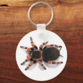 TARANTULA SPIDER SCHLÜSSELANHÄNGER KEYRING (Vorderseite)