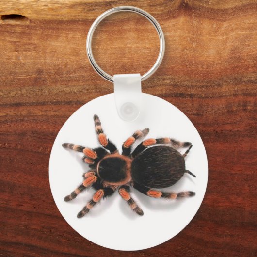 TARANTULA SPIDER SCHLÜSSELANHÄNGER KEYRING (Vorderseite)