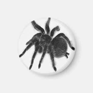 Tarantula Spider Schwarz-weiß Magnet