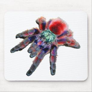 Tarantula-Spinne, arachnid, große blau-rote Spinn Mousepad