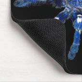 Tarantula-Spinne, arachnid, große blaue Spinne/sch Mousepad (Ecke)