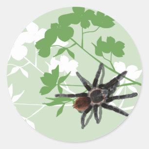 Tarantula-Spinne auf Dogwood-Blütenaufkleber Runder Aufkleber