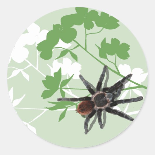 Tarantula-Spinne auf Dogwood-Blütenaufkleber Runder Aufkleber (Vorderseite)