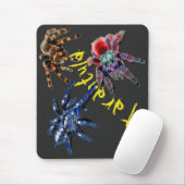 Tarantula-Spinne, blaue Spinne, rote Spinne, Spinn Mousepad (Mit Mouse)