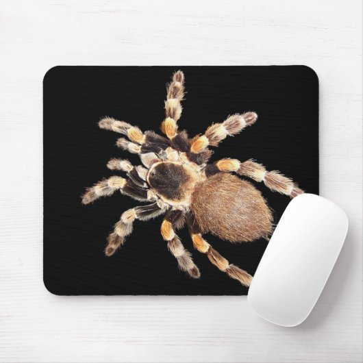 Tarantula-Spinne Mousepad (Mit Mouse)