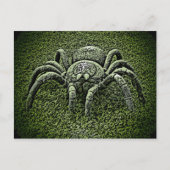 Tarantula-Spinne Postkarte (Vorderseite)