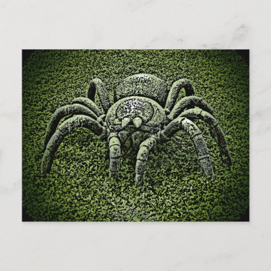 Tarantula-Spinne Postkarte (Vorderseite)