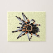 TARANTULA-SPINNE PUZZLE (Horizontal)