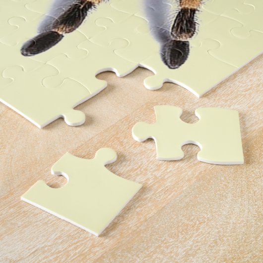 TARANTULA-SPINNE PUZZLE (Seite)