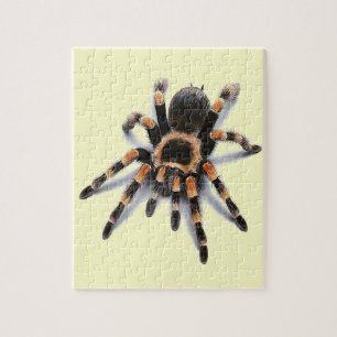 TARANTULA-SPINNE PUZZLE