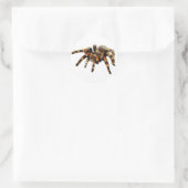 Tarantula-Spinne schwarz und orange Runder Aufkleber (Tasche)