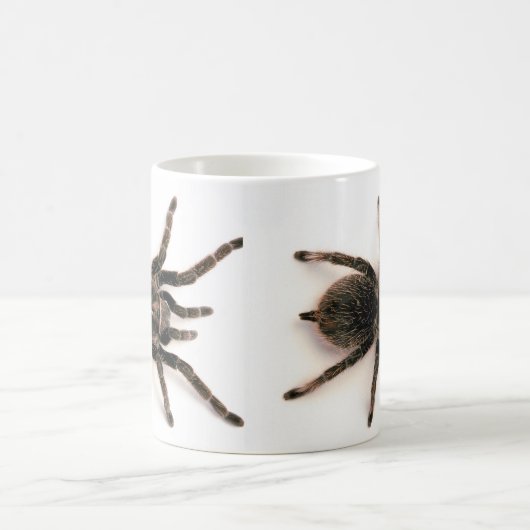 Tarantula-Spinnen-Tasse Kaffeetasse (Mittel)