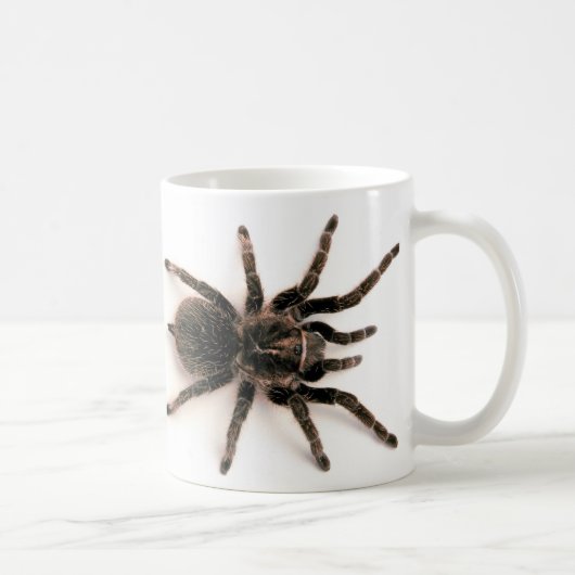 Tarantula-Spinnen-Tasse Kaffeetasse (Rechts)