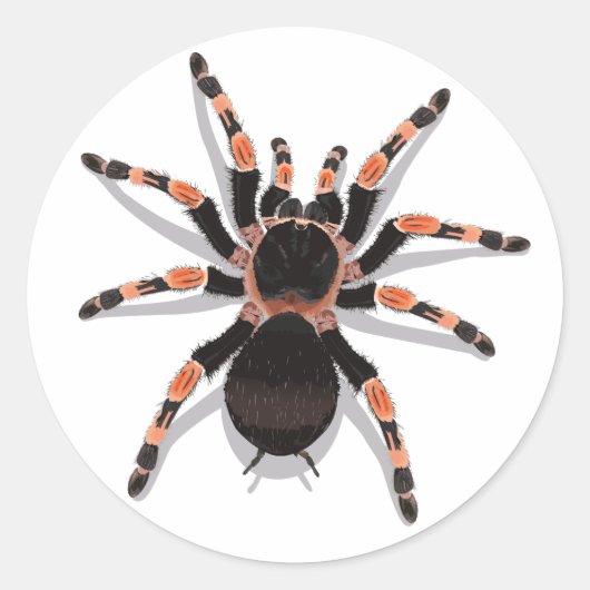 Tarantula Sticker (Vorderseite)
