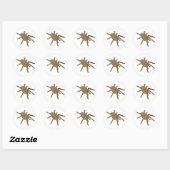 Tarantula Stickers (Blatt)