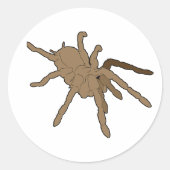 Tarantula Stickers (Vorderseite)
