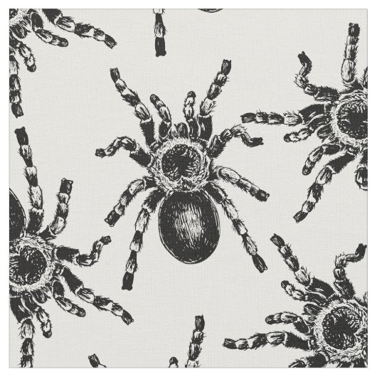 Tarantula Stoff (Nahaufnahme)