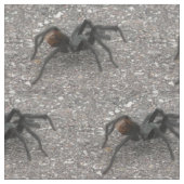 Tarantula Stoff (Nahaufnahme)