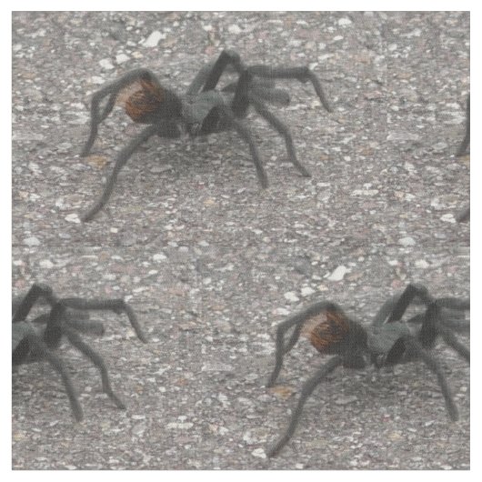 Tarantula Stoff (Nahaufnahme)