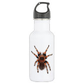 Tarantula Trinkflasche (Vorderseite)