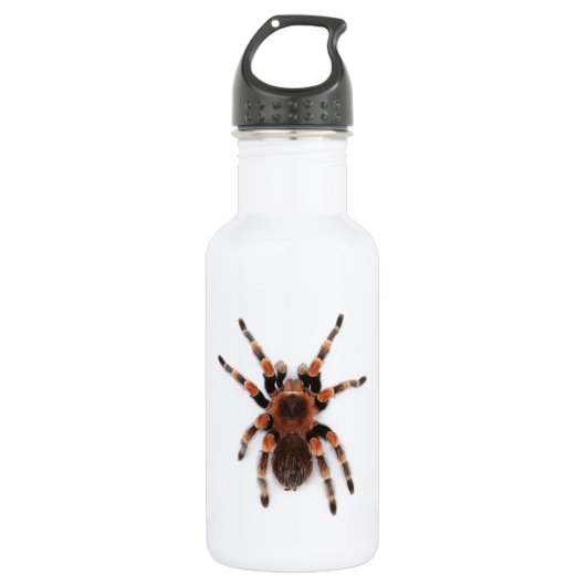 Tarantula Trinkflasche (Vorderseite)
