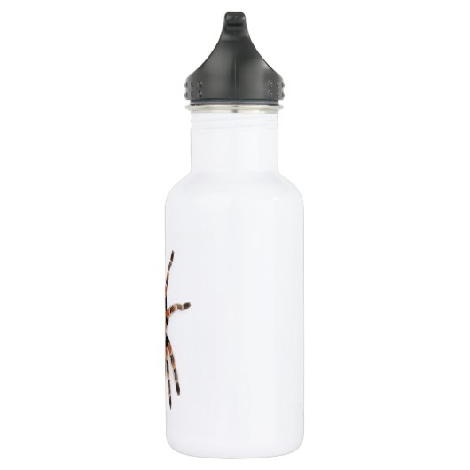 Tarantula Trinkflasche (Rechts)