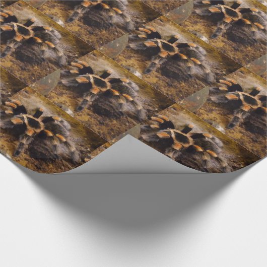 Tarantula Wrapping Paper Geschenkpapier (Ecke)