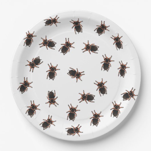 Tarantulas anpassen pappteller (Vorderseite)