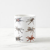 Tarantulas Kaffeetasse (Mittel)