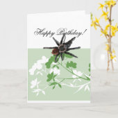 Tarantulaspinne auf karte (Gelbe Blume)