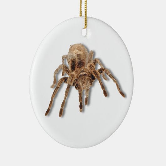 Tarantulaspinne Keramikornament (Rechts)