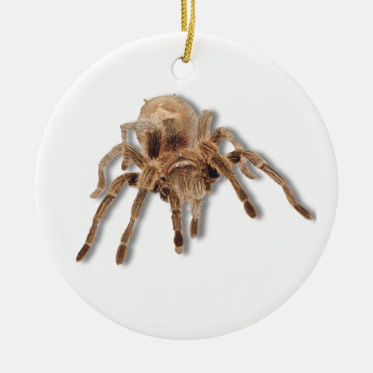 Tarantulaspinne Keramikornament (Vorne)