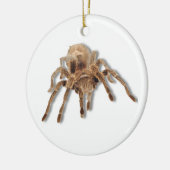 Tarantulaspinne Keramikornament (Links)