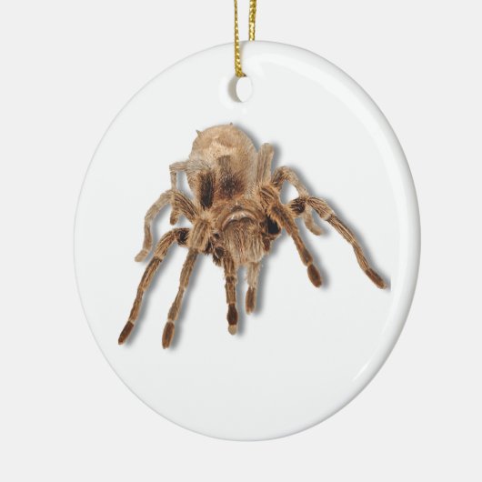Tarantulaspinne Keramikornament (Links)