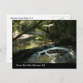 Tararua Forest Park, Wairarapa, N.Z. Postkarte (Vorne/Hinten)