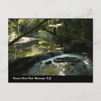 Tararua Forest Park, Wairarapa, N.Z. Postkarte