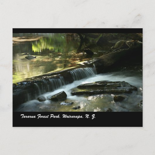 Tararua Forest Park, Wairarapa, N. Z Postkarte (Vorderseite)