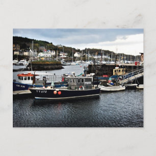 Tarbert Harbor Postcard Postkarte