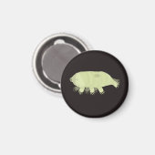 Tardigrade Magnet (Vorderseite/Rückseite)