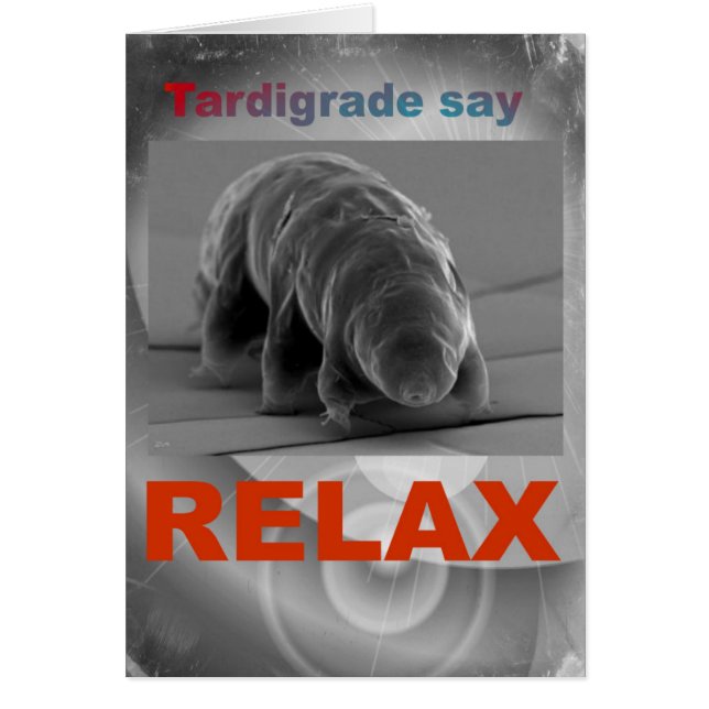 Tardigrade sagen - Entspannen. (Vorne)