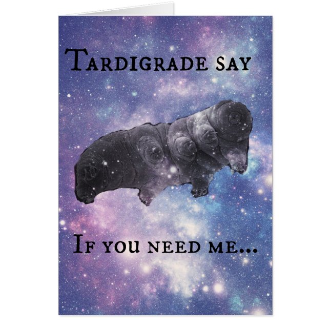 Tardigrade sagen Sie - urteilend (Vorne)