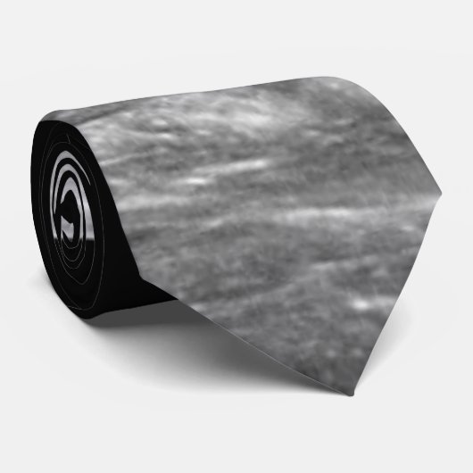 Tardigrades on Moon Funny NASA Apollo 8 Erdaufgang Krawatte (Gerollt)