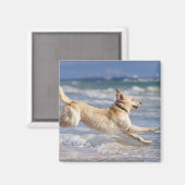 Tarifa, Cadiz, Analusie, Sprössling Magnet (Vorderseite/Rückseite)