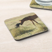 Tarifa, Cadiz, Andalusien, Spanien 2 Getränkeuntersetzer (Linke Seite)