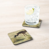 Tarifa, Cadiz, Andalusien, Spanien 2 Getränkeuntersetzer (Rechte Seite)