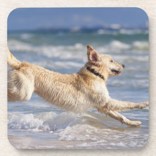 Tarifa, Cadiz, Andalusien, Spanien Getränkeuntersetzer