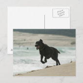 Tarifa, Cadiz, Andalusien, Spanien Postkarte (Vorne/Hinten)